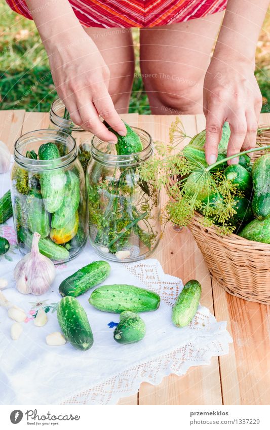 In Essig einlegende Gurken mit Hausgartengemüse und Kräutern Gemüse Kräuter & Gewürze Ernährung Bioprodukte Garten Frau Erwachsene Hand Sommer frisch natürlich