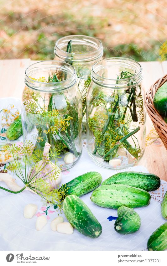 In Essig einlegende Gurken mit Hausgartengemüse und Kräutern Lebensmittel Gemüse Kräuter & Gewürze Bioprodukte Garten Sommer frisch natürlich grün Korb