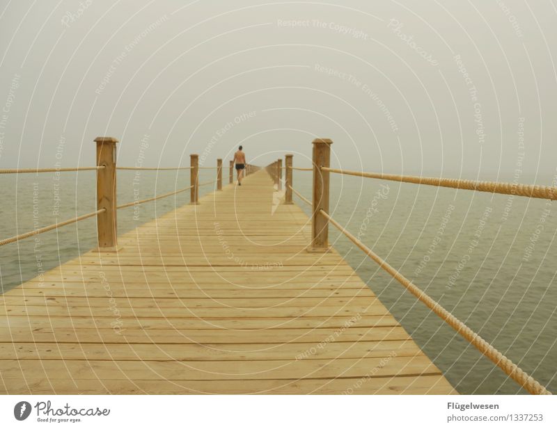 Dieser Steg wird ein langer sein Ferien & Urlaub & Reisen Tourismus Ausflug Abenteuer Ferne Freiheit Unwetter Wind Nebel Wellen Küste Strand Bucht Fjord Riff