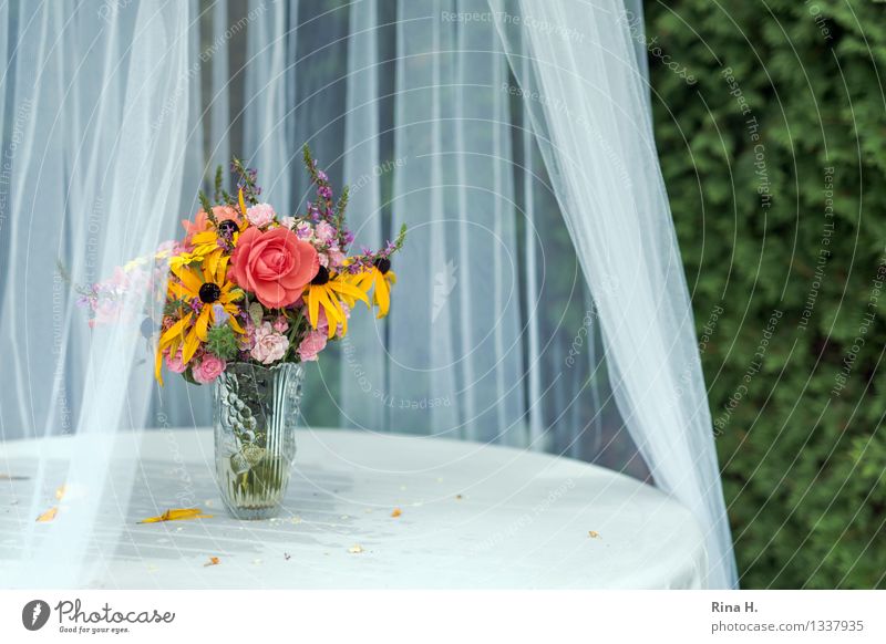 KuchenBuffet Freude authentisch Lebensfreude Blumenstrauß Vase Gardine Garten Gartentisch Tischwäsche Feste & Feiern Insektenschutz Farbfoto Außenaufnahme