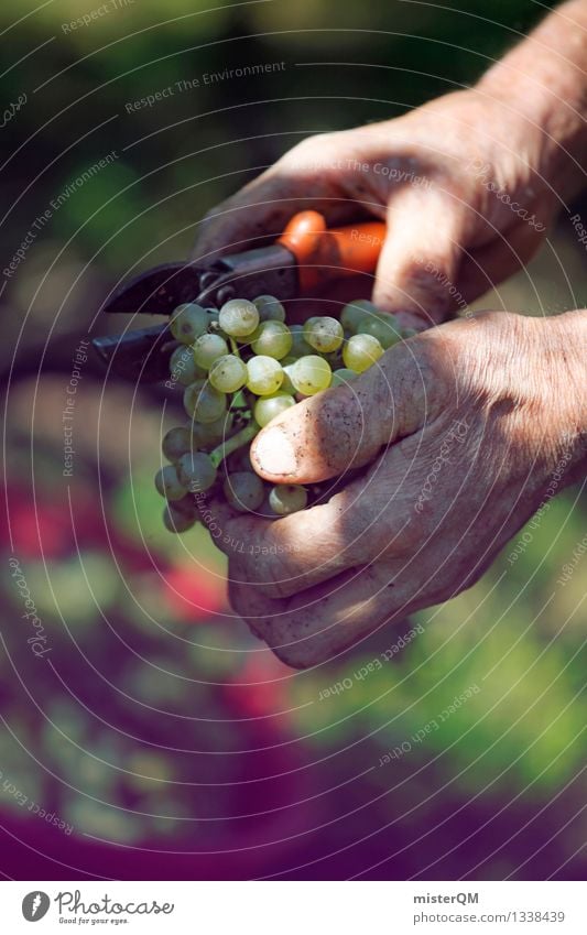 Weinlese II Kunst Kunstwerk ästhetisch Zufriedenheit Weinberg Weinflasche Weinbau Weintrauben Weinblatt Weingut Ernte Erntehelfer Farbfoto Gedeckte Farben