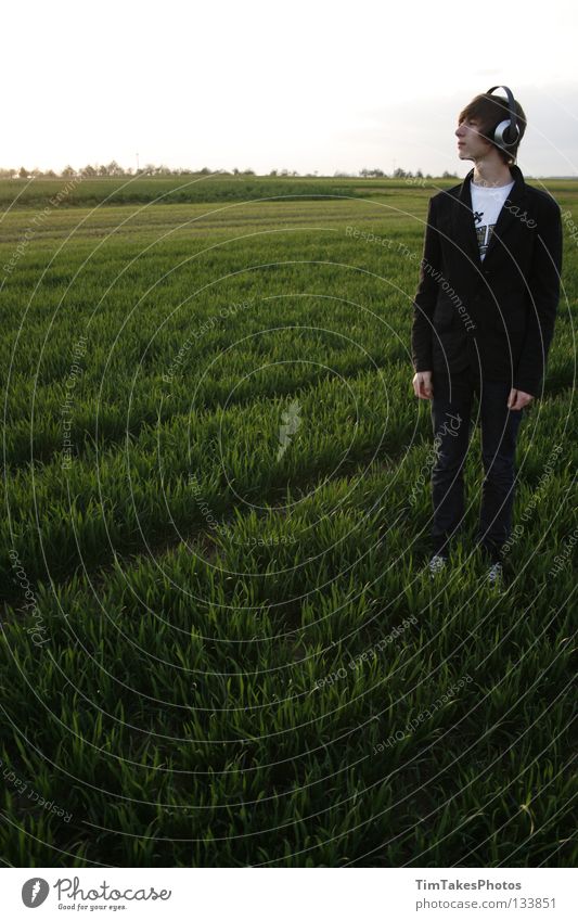 freedom 5 Gras grün Himmel Porträt Wolken unbearbeitet Stock Image Blume gelb Hemd Anzug Jacke Wiese Feld Chucks Lieferwagen Kopfhörer Deutschland Freiheit