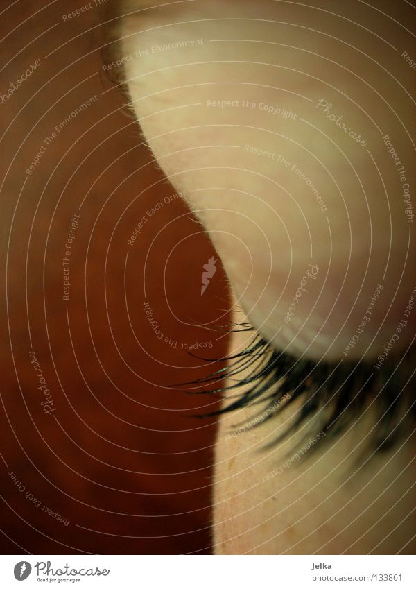 verwünscht. Gesicht Wimperntusche Wellen Frau Erwachsene Auge Linie braun Wölbung Ecke woman face faces eye eyes eyelash eyelashes brown wllen wave waves line