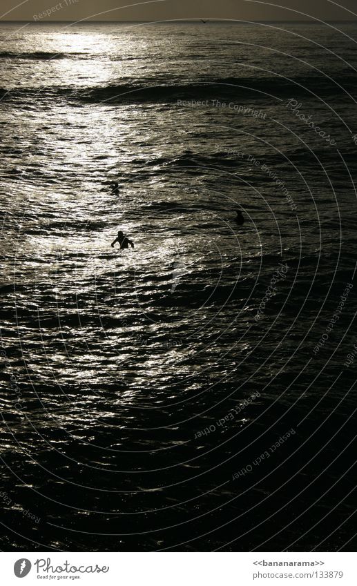 Wavewatchers Meer Wellen Surfer Erholung Strand Sonnenuntergang Surfbrett Wasser Funsport Ocean Sea warten Wetsuit Wildwasser San Diego County Pacific Beach