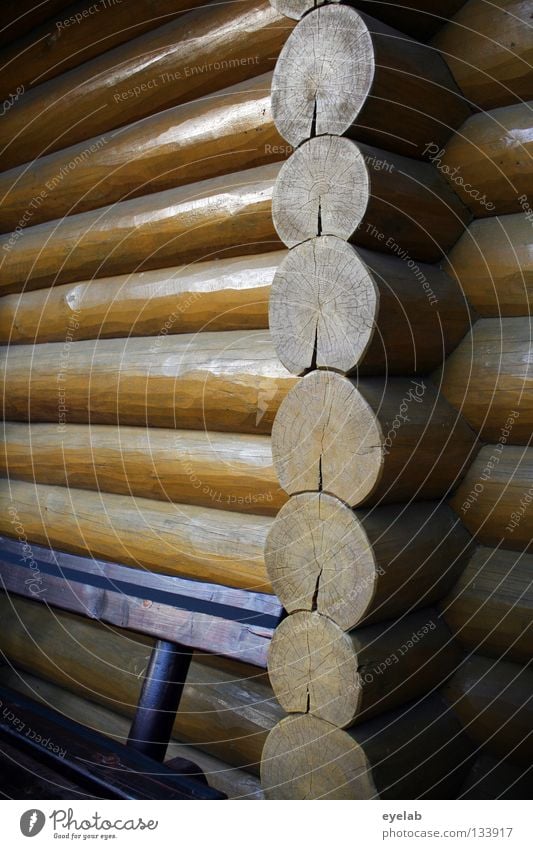 Holz(-bank) vor der Hütte Haus Gebäude Holzhaus Unterkunft Dach Holzbank Gartenhaus lackiert Sommer gemütlich Freizeit & Hobby Architektur Bank Balken geölt