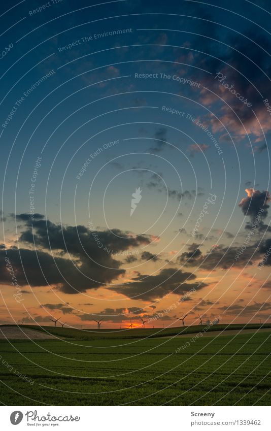 Dämmerung Natur Landschaft Pflanze Himmel Wolken Sonnenaufgang Sonnenuntergang Sommer Schönes Wetter Feld blau grün orange ruhig Windkraftanlage Ferne Farbfoto