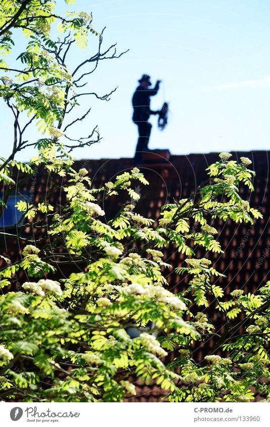 Trallala der Schornsteinfeger ist da I Dach Reinigen Zufriedenheit Baum Blatt Fenster Dachziegel Vogelbeerbaum Vogelbeeren Handwerk Heizkörper Glück Hut