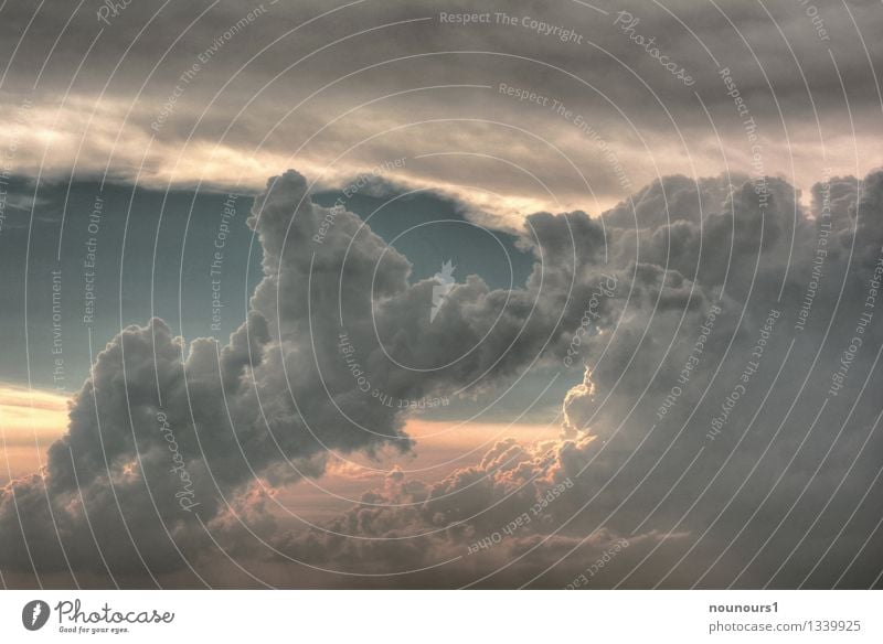 Wolkentürme Umwelt Natur Himmel Gewitterwolken Sonnenaufgang Sonnenuntergang Wetter Unwetter Wind Sturm bedrohlich Coolness dunkel fantastisch gigantisch grau