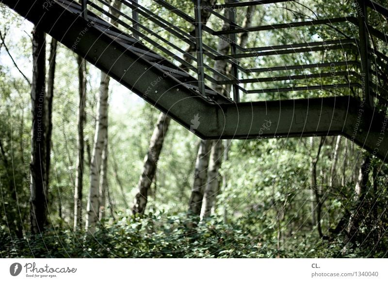 relikt Umwelt Natur Baum Sträucher Wald Menschenleer Industrieanlage Treppe Wege & Pfade Farbfoto Außenaufnahme Tag Schwache Tiefenschärfe