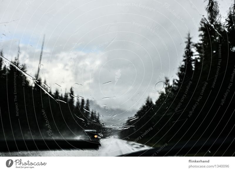 regentropfen, die an mein fenster klopfen Landschaft Regen Wald Straßenverkehr Autofahren Scheibenwischer PKW blau schwarz weiß Zukunft Wischen after the rain