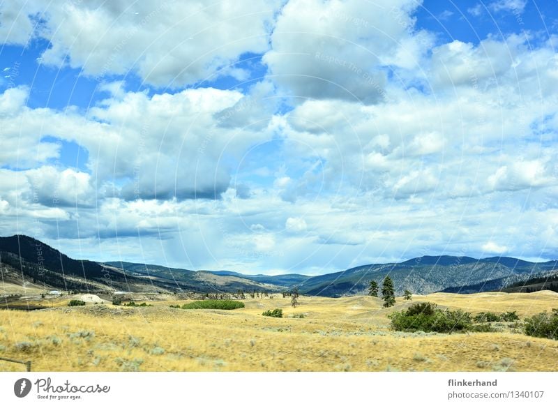 wild wild west Sand Himmel Wolken Schönes Wetter Hügel Wüste Steppe Ferne trocken blau braun grün Wilder Westen Farbfoto mehrfarbig Außenaufnahme Menschenleer