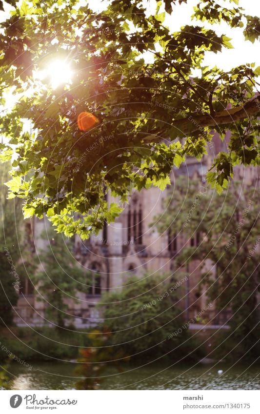 Feuersee Umwelt Natur Klima Stadt Hauptstadt Haus Kirche Stimmung feuersee Stuttgart See Baum Blatt Farbfoto Außenaufnahme Dämmerung Schatten Kontrast