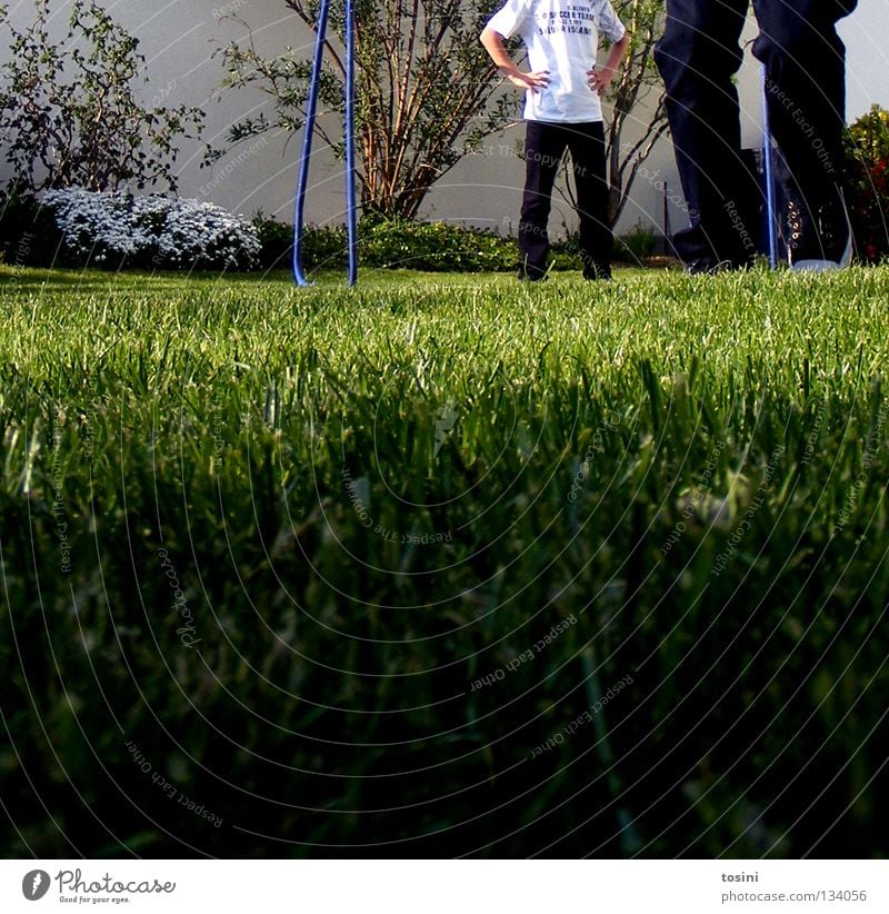 Rasenperspektive Tor Boden Sportrasen Gras grün Halm Garten Stab Hose Beine Spielen Leidenschaft Perspektive Sträucher Fußballplatz Europameisterschaft Torwart