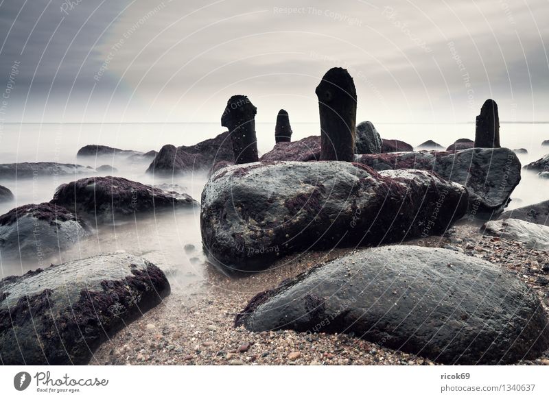 Ostseeküste Strand Natur Landschaft Wasser Wolken Felsen Küste Meer Stein Holz ruhig Buhne Heiligendamm Mecklenburg-Vorpommern Himmel steinig Farbfoto