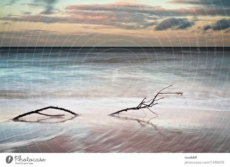 Ostseeküste Ferien & Urlaub & Reisen Strand Natur Landschaft Wasser Wolken Küste Meer blau gelb Romantik Idylle ruhig Tourismus Sonnenuntergang Ast Zweig Himmel