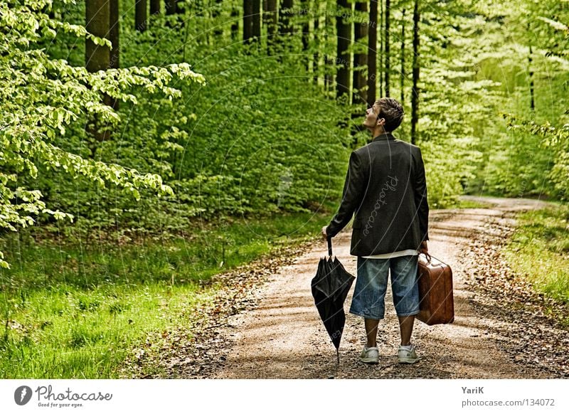 wo bin ich? verrückt Ausweg Spaziergang gehen verfolgen flüchten braun Sonnenstrahlen Shorts Waldboden hilflos planlos Baum Baumrinde Tanne Fichte Mann wandern