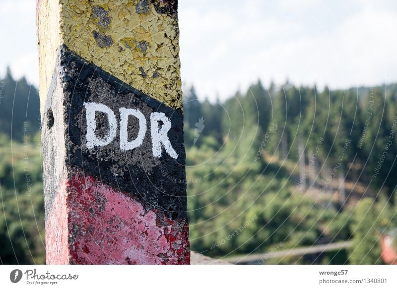 Geschichte - aus und vorbei Sommer Wald Nadelwald Beton Zeichen Schriftzeichen Schilder & Markierungen Hinweisschild Warnschild Grenzpfahl alt bedrohlich dunkel