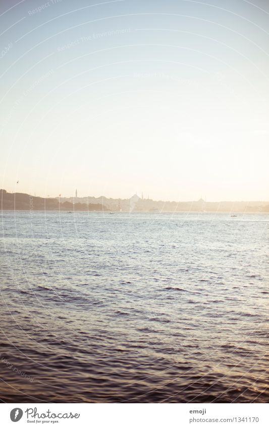 Sommer Umwelt Natur Wasser Himmel Wolkenloser Himmel Sonne Schönes Wetter Meer See natürlich Wärme Farbfoto Außenaufnahme Menschenleer Tag Sonnenlicht