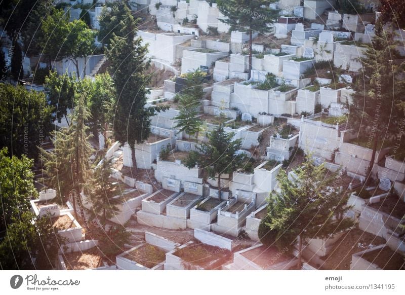 Friedhof Umwelt Natur Schönes Wetter Sehenswürdigkeit Grab Grabstein gruselig Farbfoto Außenaufnahme Menschenleer Tag Schwache Tiefenschärfe Vogelperspektive