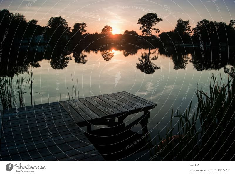 Vorabendprogramm Umwelt Natur Landschaft Wasser Himmel Horizont Klima Schönes Wetter Baum Gras Wildpflanze Röhricht Anlegestelle Steg Holz leuchten gigantisch