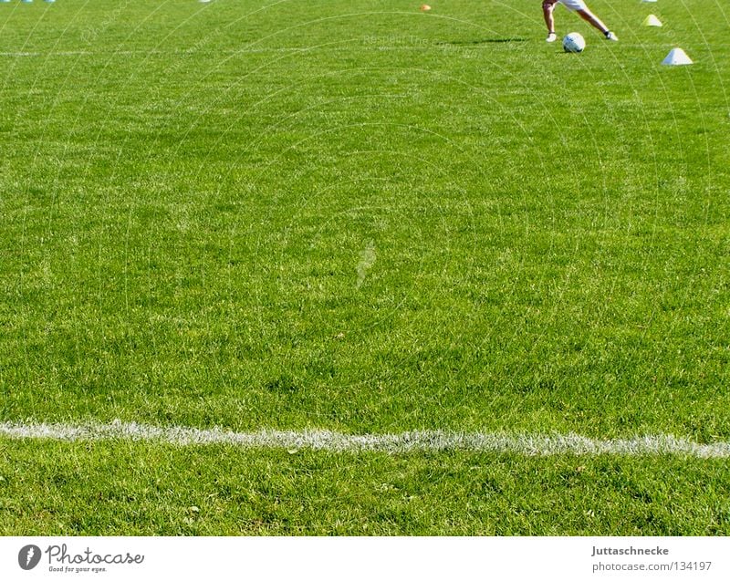 Stürmer Finale Halbfinale Verteidiger Defensive Fußballplatz Sport Eckstoß Elfmeter grün Ballsport Erfolg Freude Match soccer EM Europameisterschaft Mittelfeld