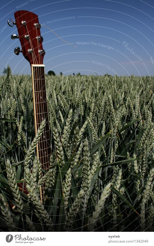 Unkraut vergeht nicht Freizeit & Hobby Spielen Ferien & Urlaub & Reisen Ausflug Musik Erntedankfest Gitarre Saite Musikinstrument Umwelt Natur Landschaft