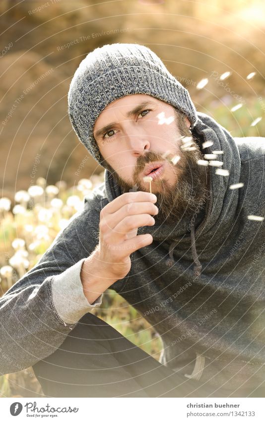 Pusteblume Mann Erwachsene 1 Mensch 30-45 Jahre Mütze Vollbart Freundlichkeit frisch Freude Glück Lebensfreude schön Unbekümmertheit Löwenzahn sanft kindlich