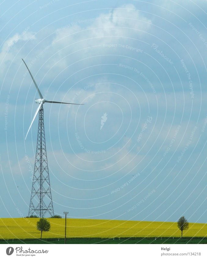 Windkraftanlage vor blauem Himmel mit Wolken an einem Rapsfeld streben Länge quer emporragend groß rotieren drehen Elektrizität Erneuerbare Energie