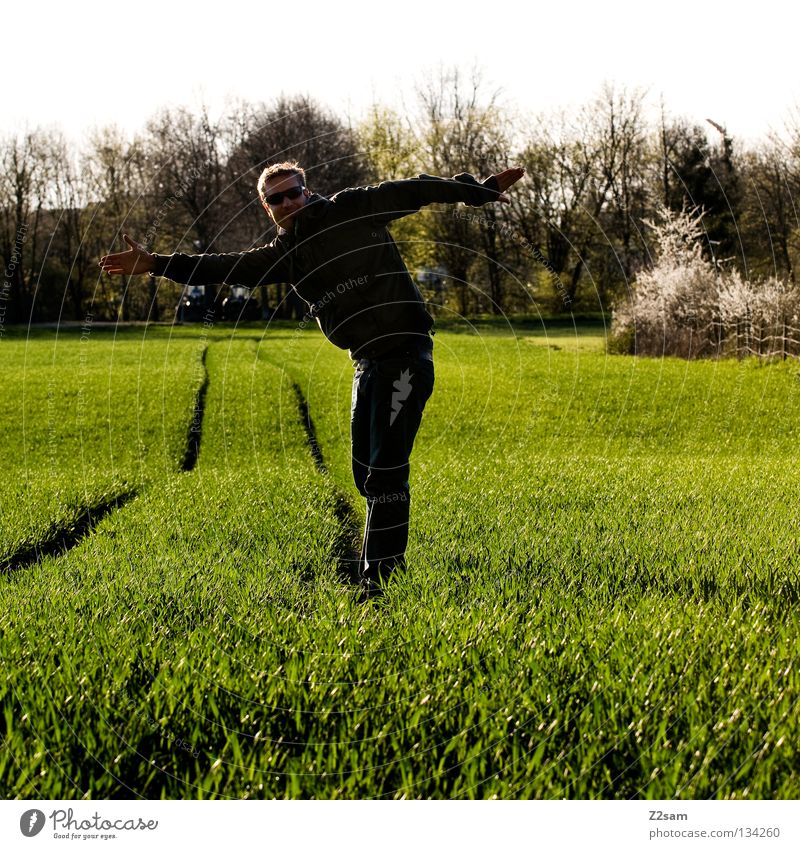 unausgeglichen Zufriedenheit grün Wiese Streifen Feld schwarz Mann maskulin stehen blond Sommer Physik Baum Mensch Linie Landwirt Arme Wärme Natur Landschaft