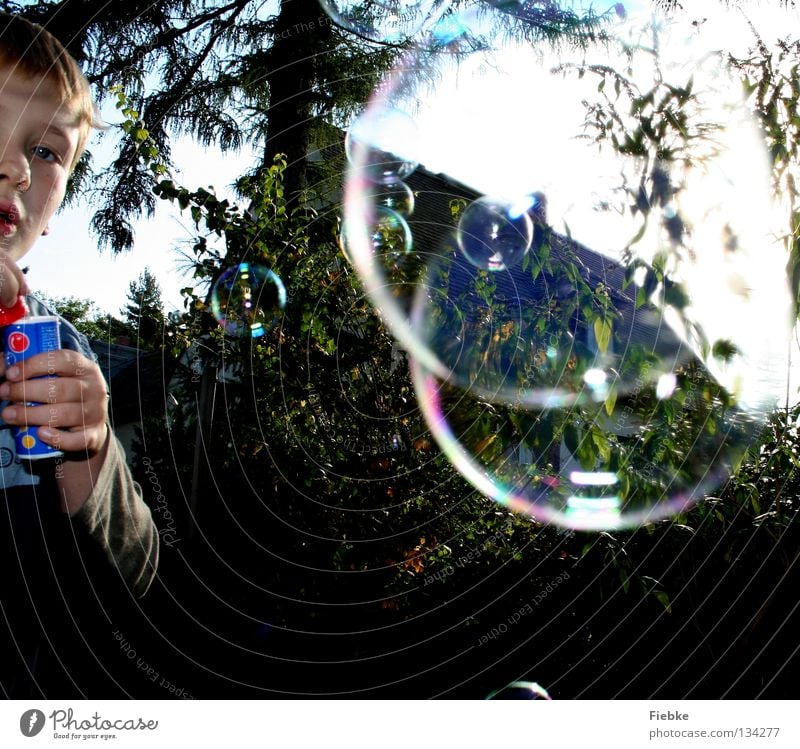 Soap Bubble Boy Seifenblase Kind Sommer Spielen Baum Sträucher Haus mehrfarbig Überraschung Hand skeptisch rot schimmern Schweben Spielzeug klein seltsam