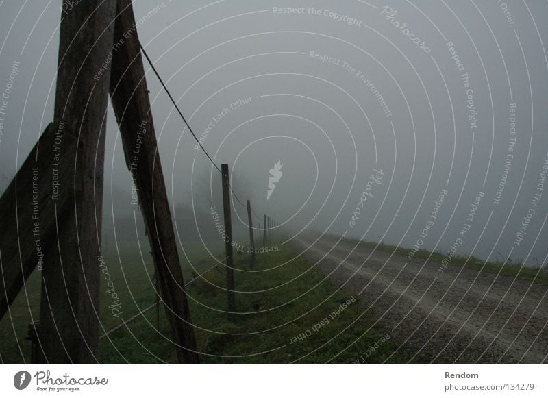 Blick in die Zukunft Nebel Rauch frei Freiheit ungewiss Rasen Straße Zaun Fluchtpunkt vorwärts neu Fußweg Stacheldraht