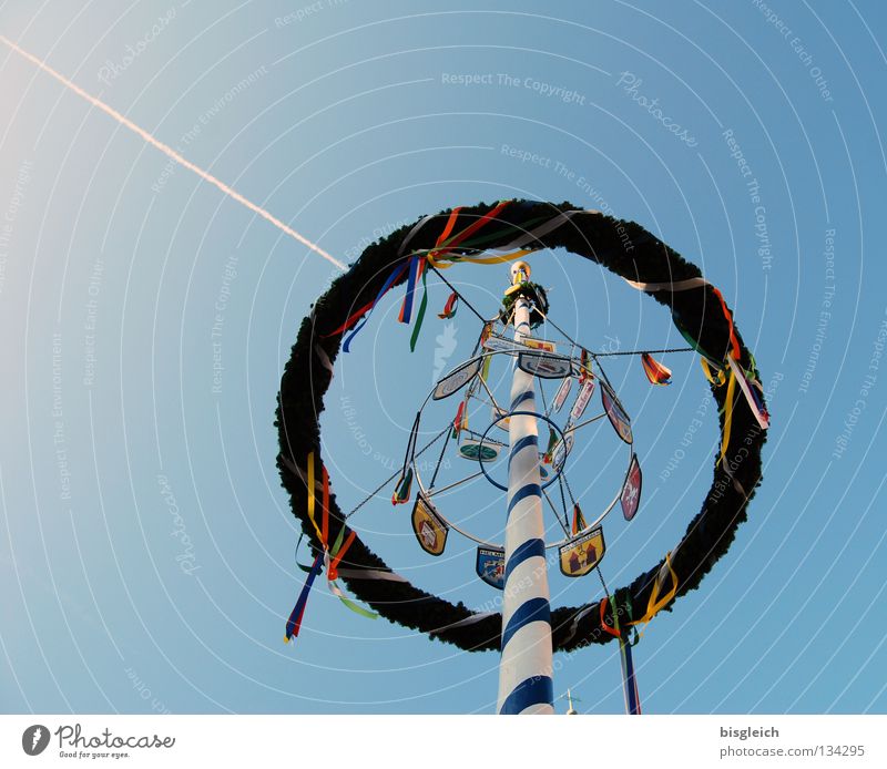 Maibaum I Farbfoto Außenaufnahme Menschenleer Gegenlicht Froschperspektive Feste & Feiern Luftverkehr Himmel Frühling Flugzeug blau Tradition Kondensstreifen