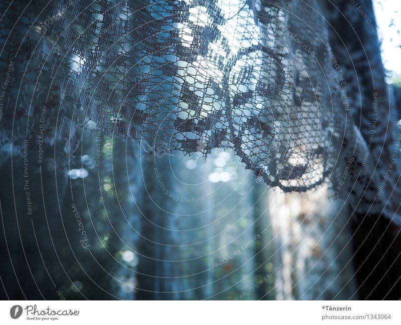 Gardine Menschenleer Fenster ästhetisch blau grau Romantik ruhig Heimweh verträumt geheimnisvoll Vergangenheit Vergänglichkeit alte Gardine Farbfoto