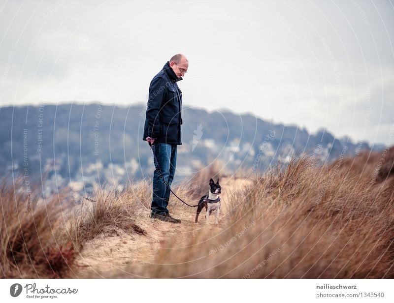 Mann mit Boston Terrier Freude Spielen Ferien & Urlaub & Reisen Strand Meer Erwachsene 1 Mensch Natur Landschaft Sand schlechtes Wetter Hund Tier beobachten