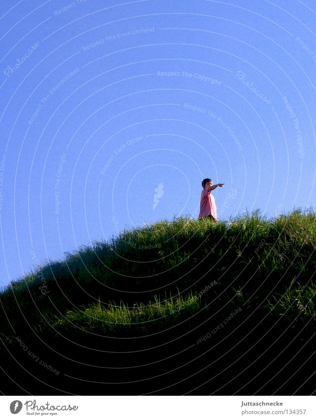 Gipfelstürmer Junge besteigen Bergsteigen hoch Kind Aussicht fertig Erfolg Freude oben hoch oben Klettern Klettermaxi Berge u. Gebirge Himmel frei Freiheit