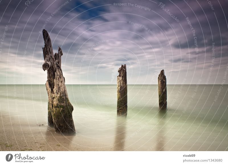 Ostseeküste Strand Meer Natur Landschaft Wasser Wolken Küste alt blau Romantik Idylle ruhig Buhne Himmel Mecklenburg-Vorpommern Buk Kühlungsborn verwittert