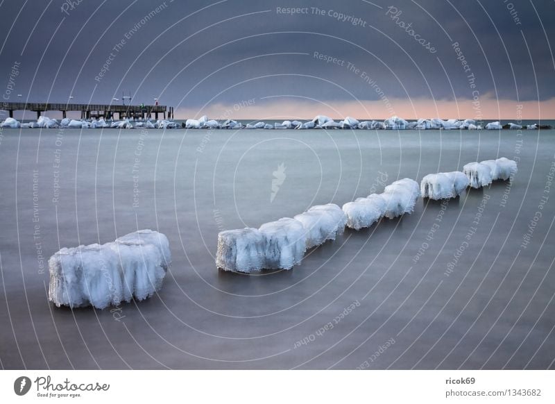 Ostseeküste Tourismus Strand Winter Natur Landschaft Wasser Wolken Wetter Eis Frost Schnee Küste Meer Stein kalt Ferien & Urlaub & Reisen ruhig Buhne Seebrücke