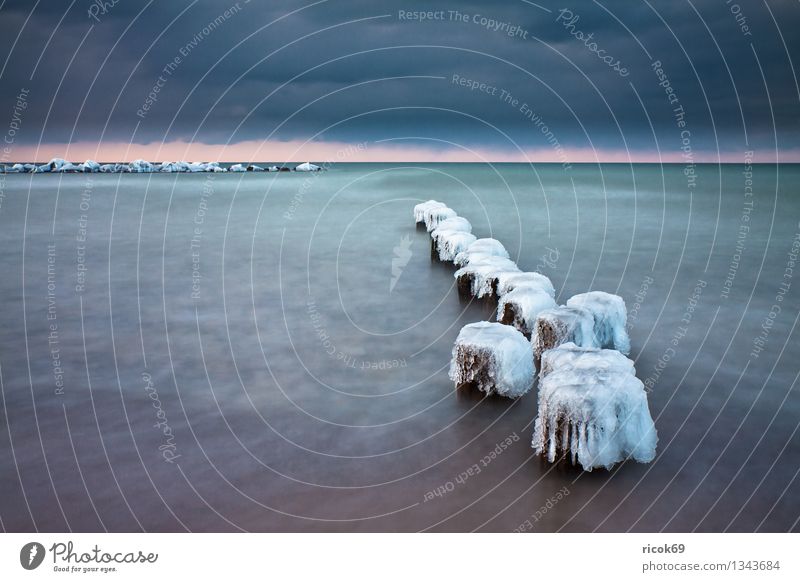 Ostseeküste im Winter Strand Natur Landschaft Wasser Wolken Wetter Eis Frost Küste kalt Ferien & Urlaub & Reisen ruhig Tourismus Buhne Schnee Wustrow