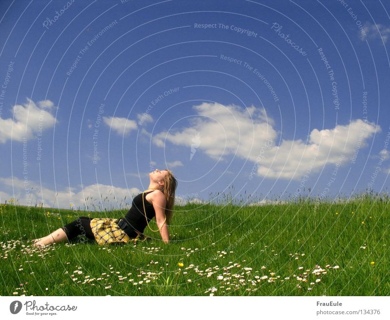 Sonne tanken für 0 cent Sonnenstrahlen genießen abstützen Wiese Wolken weiß grün Blume Gänseblümchen Löwenzahn Hügel Sommer Jahreszeiten Erholung Perle