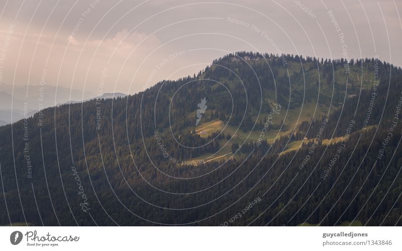 Alm Umwelt Natur Landschaft Hügel Alpen Berge u. Gebirge Alpenvorland Gipfel entdecken Erholung wandern natürlich Wärme Abenteuer Ferien & Urlaub & Reisen