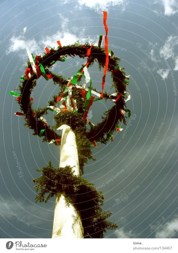 Jetzt ist mehr Wind da, stellt Lukas fest Mai Baum Wolken grün luftig Holz Stab rund flattern majestätisch frisch Frühling Detailaufnahme