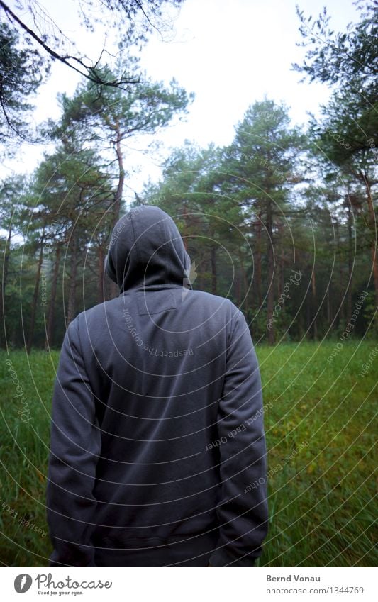 herbstrückennaht Mensch maskulin Rücken 1 authentisch Kapuze Wald Faltenwurf grau Waldspaziergang Gras Wachstum nachdenklich kalt Stoff Herbst Arme Einsamkeit