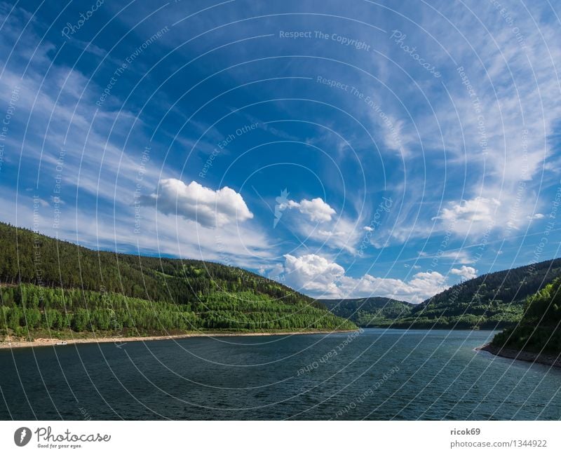 Stausee Leibis/Lichte Natur Landschaft Wasser Wolken Frühling Baum Wald Sehenswürdigkeit blau Idylle Ferien & Urlaub & Reisen Tourismus Talsperre Unterweißbach