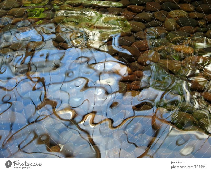 Träumender Brunnen Wellen Linie Bewegung komplex Surrealismus Vergänglichkeit Metamorphose Dimension diffus Wellenlinie Wellenform Wasseroberfläche Verzerrung