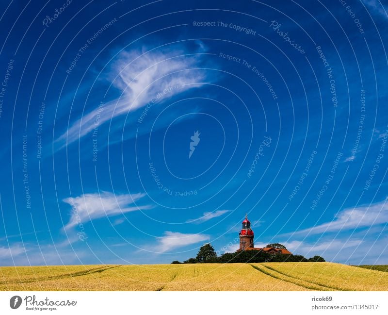 Leuchtturm Bastorf Getreide Ferien & Urlaub & Reisen Sommer Landwirtschaft Forstwirtschaft Natur Landschaft Wolken Feld Küste Ostsee Architektur