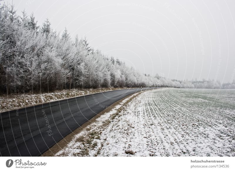 Franken - 03 Winter kalt Feld trüb ruhig Außenaufnahme Weitwinkel Baum Wald Frieden braun Fränkische Schweiz Geschwindigkeit Schnee Raureif Landschaft Ferne