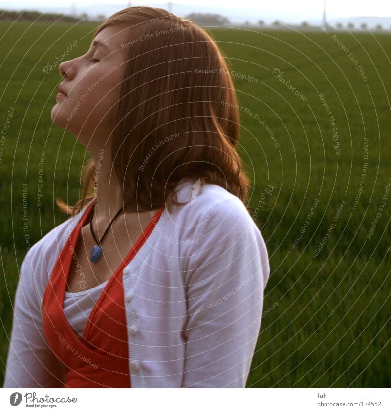 the cover Freude ruhig Sommer Jugendliche Horizont Gras Wiese Feld genießen braun gelb grün Stimmung Vorfreude Hochmut sommerlich Sonnenuntergang Erinnerung