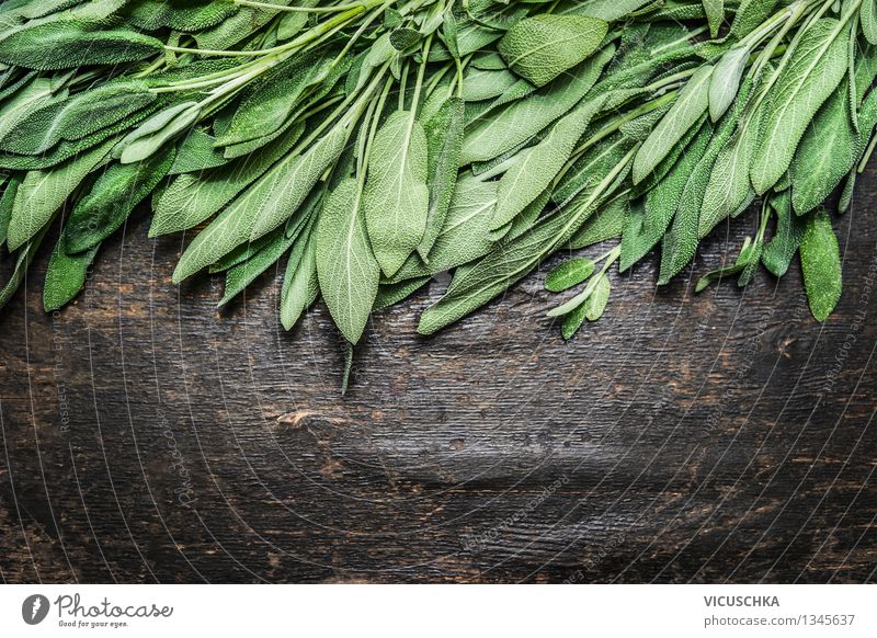 Frische Salbeiblätter Lebensmittel Kräuter & Gewürze Gesundheit Alternativmedizin Gesunde Ernährung Kur Sommer Garten Tisch Natur Design Stil Hintergrundbild