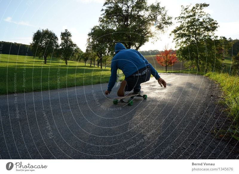 kariert Sport Gefühle Stimmung Freude Asphalt Skateboard Skateboarding abwärts hocken Geschwindigkeit Kapuze Gegenlicht Baum Wiese Sonnenlicht himmelblau grün