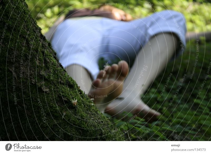 Opfer Fassade Wald Baum Frühling springen Erholung Frau Totschlag Jugendliche Mord liegen Tod Beine woman legs forest Traurigkeit